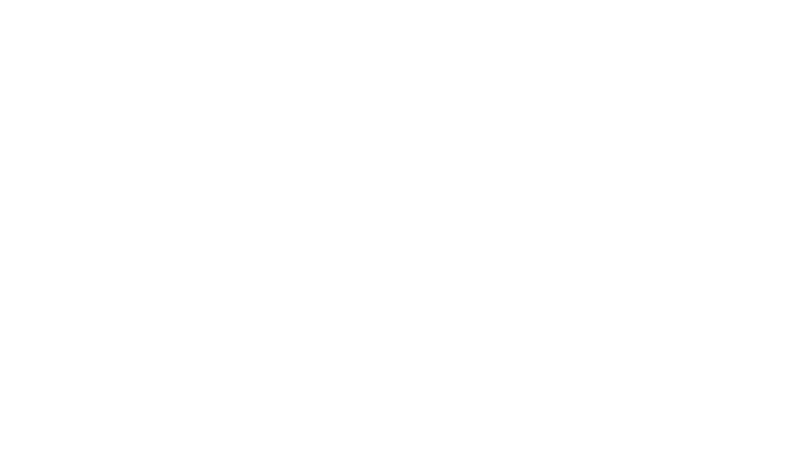 Elite Academy